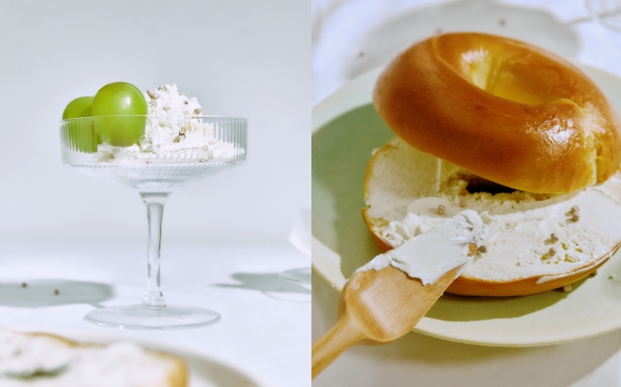 프로티니 사용 예