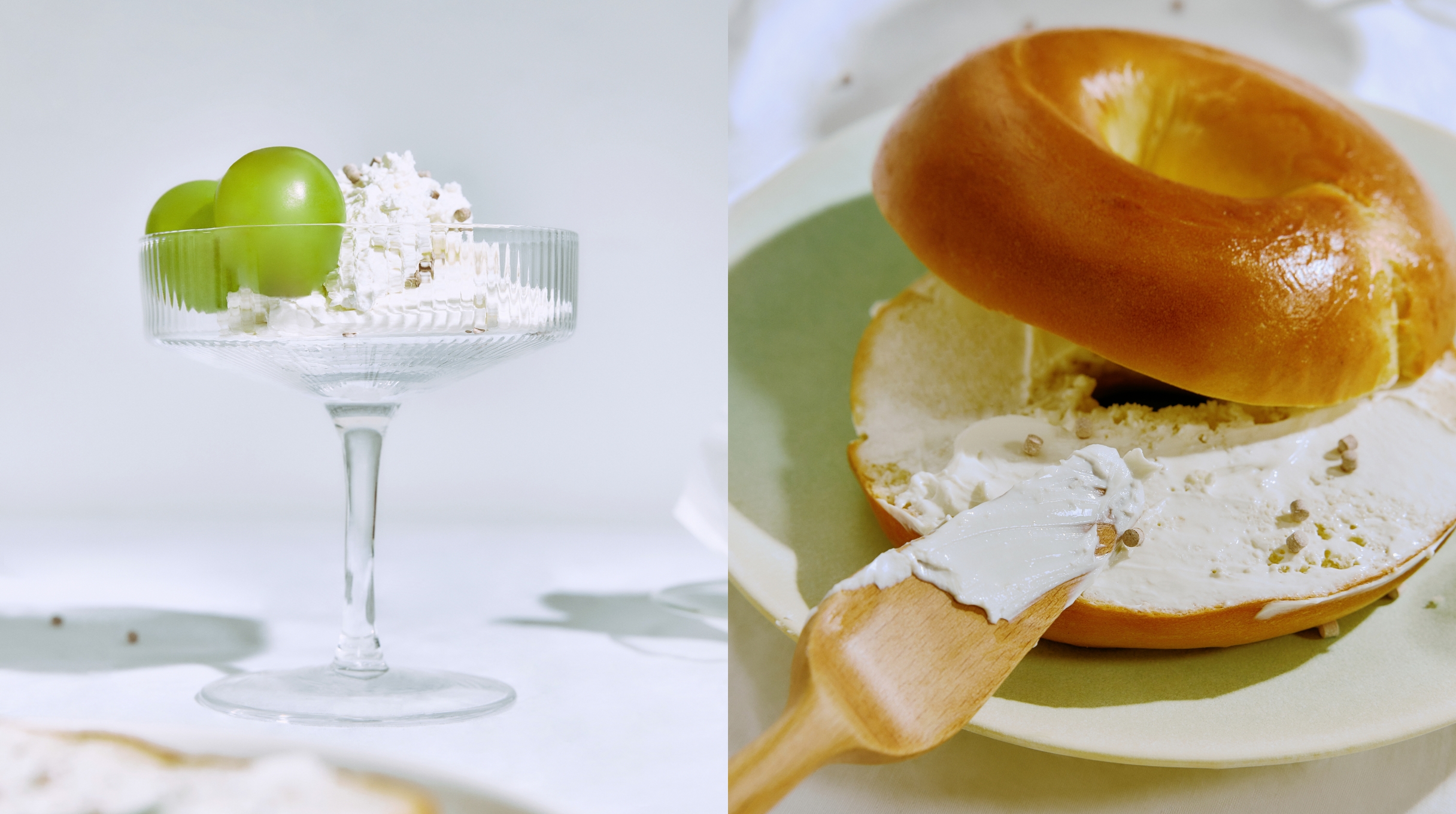 프로티니 사용 예